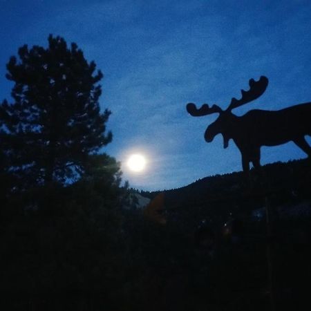 Alpine Moose Lodge Lake City Luaran gambar