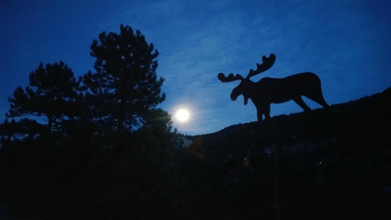 Alpine Moose Lodge Lake City Luaran gambar