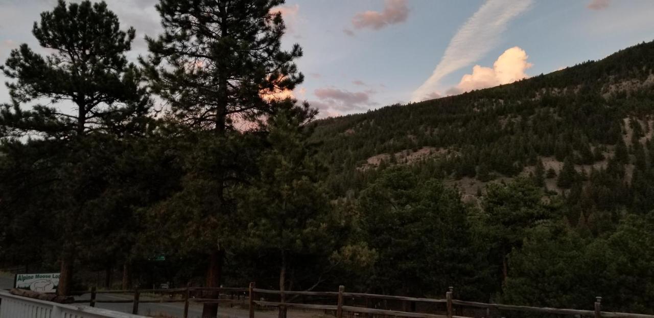 Alpine Moose Lodge Lake City Luaran gambar